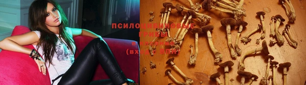 спиды Бронницы