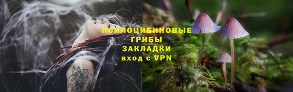 кокаин перу Бородино