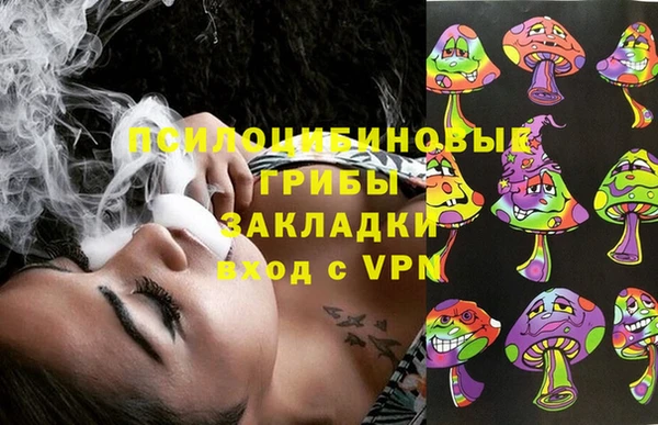 спиды Бронницы