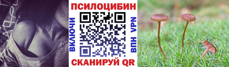 Галлюциногенные грибы GOLDEN TEACHER  Купить где  Лобня 