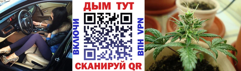 Бошки марихуана планчик  Купить  Лобня 